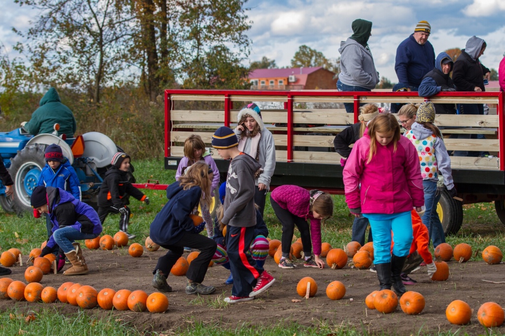 JELLYSTONE PARK IN NATURAL BRIDGE STATION OFFERS A HAUNTED TRAIL AND OTHER HALLOWEEN-THEMED ACTIVITIES EVERY WEEKEND IN OCTOBER